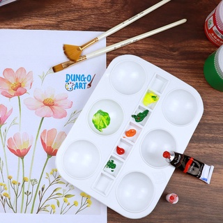 Sỉ Khay Pha Màu  Ô Tròn Dày 13 Ô Kích Thước 20*15cm Loại To
