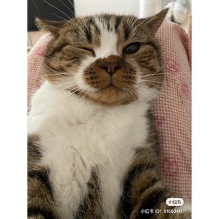 Một đống cọ lẻ lẫn lộn