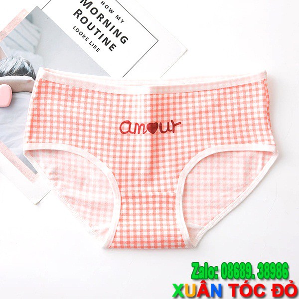 SỈ ZALO RẺ HƠN NHIỀU_ Quần Lót Mèo Tắm Trong Bồn Dưa Hấu Mới 5055 | BigBuy360 - bigbuy360.vn