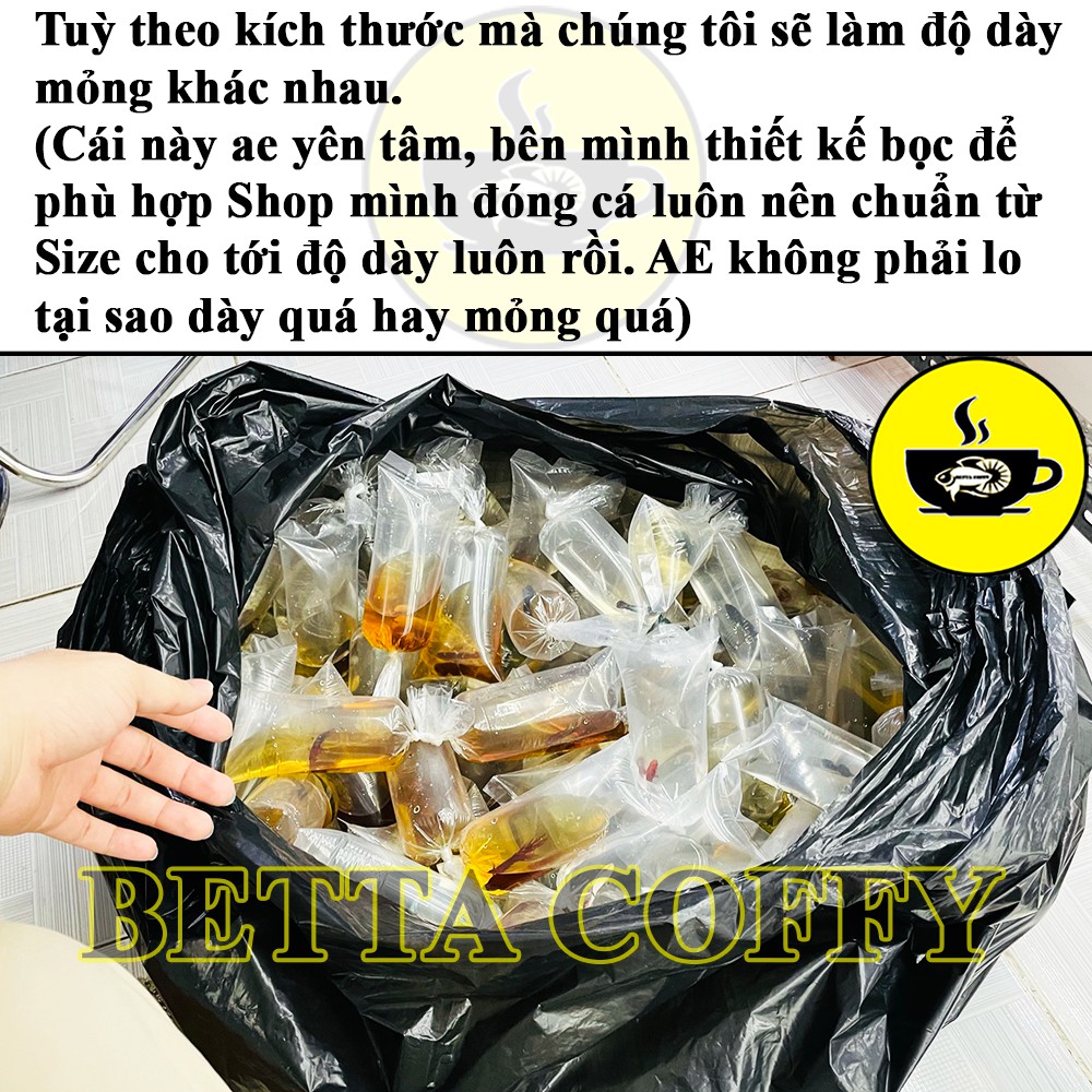 Bọc Nilon đóng cá cảnh - Bịch túi đựng cá betta guppy