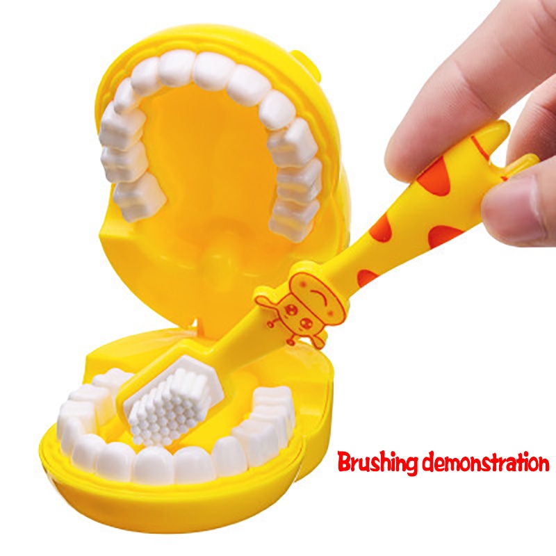 Bộ 4 Mô Hình Răng Đồ Chơi Chất Lượng Cao