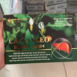 Cà gai leo (giải độc gan , bổ gan) Nhật Linh hộp 60 viên