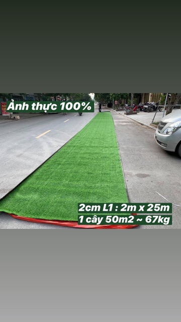 Thảm cỏ nhân tạo 2cm ( 1 cây 50m2 )