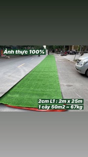 Thảm cỏ nhân tạo ( 1 cuộn 50m2 )
