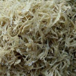 500gr Cá Cơm Mờn - Cá Cơm Sữa - Đặc sản Đà Nẵng siêu ngon