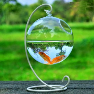 Bể cá mini để bàn treo chữ C