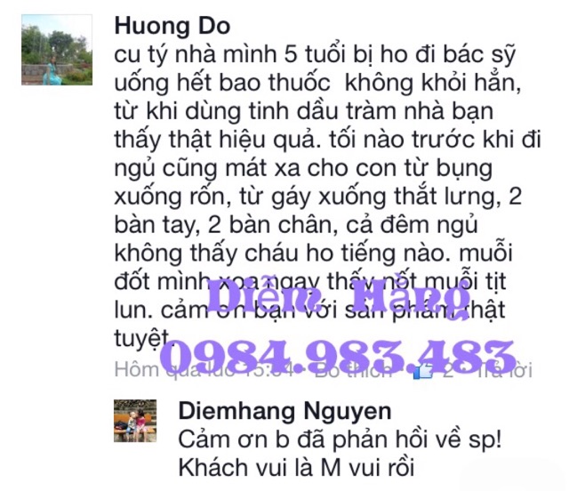 Combo 2 Tinh dầu tràm Huế 100ml Cầu Bình An