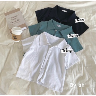 Áo Crop thun polo