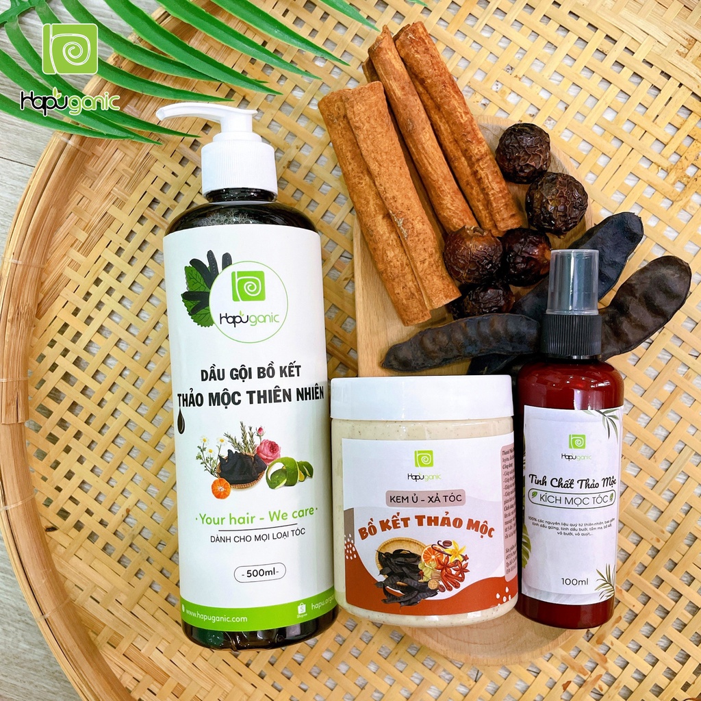 Combo Dầu Gội Bồ Kết - Ủ Xả Tóc - Tinh Chất mọc tóc HaPu Organic