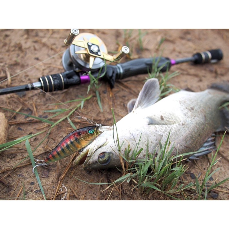 Mồi Giả MEGABASS FLAP SLAP - Madein JAPAN