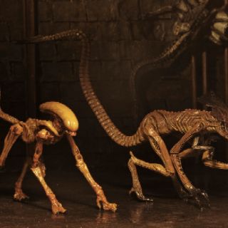Mô hình Neca Alien 3 Accessory