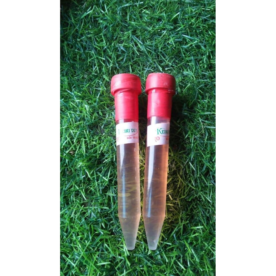 1 lọ Keiki duy đỏ - pro ( kích mầm, kích kie hoa lan, kích hoa cực đạt cho hoa lan