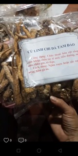 Củ Linh Chi Đá (Bạch Chỉ )Tam Đảo 1kg