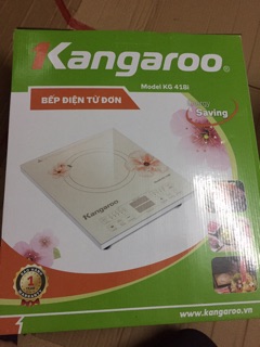 Bếp từ Kangaroo KG418I