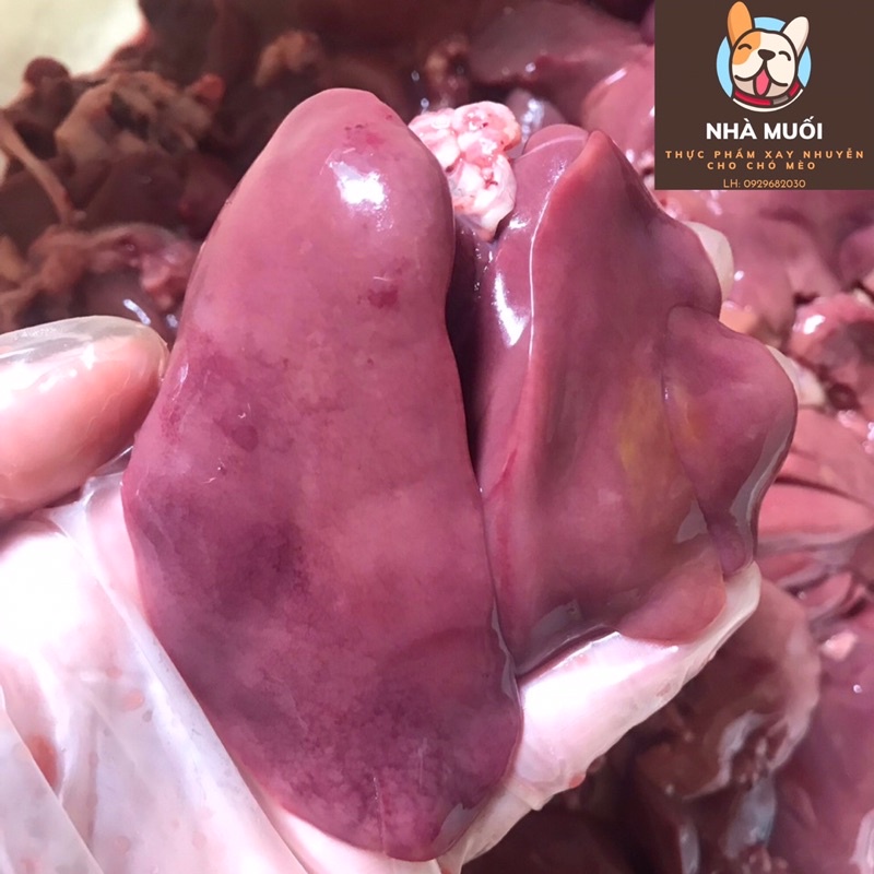 Gan gà làm sạch 1kg - gan - thức ăn tươi cho chó mèo - thức ăn cho thú cưng - patê tươi - TPHCM