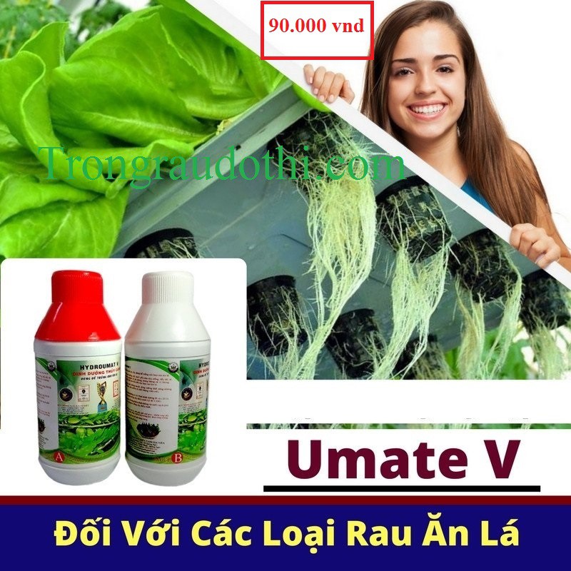 Cặp dinh dưỡng thủy canh Hydro umat V