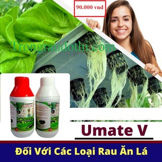 Cặp dinh dưỡng thủy canh Hydro umat V
