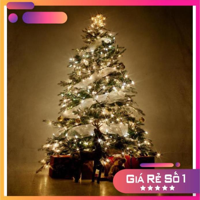 Dây nháy led đào quất, dây đèn trang trí