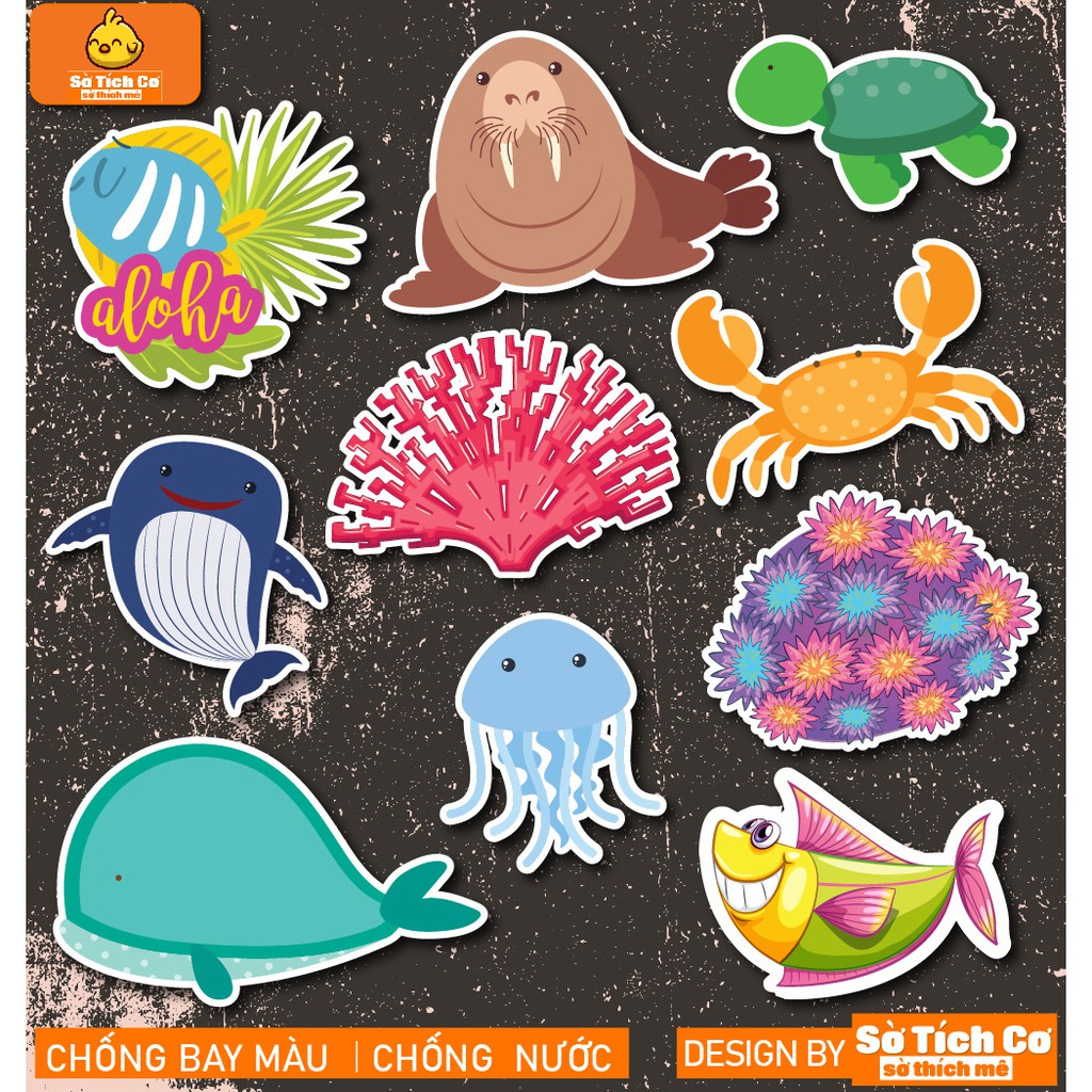 Động Vật Biển dán điện thoại, laptop, mũ bảo hiểm, guitar, vali MSP: A15
