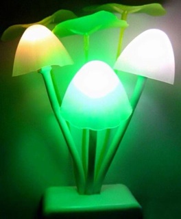 Đèn ngủ cây nấm đổi màu