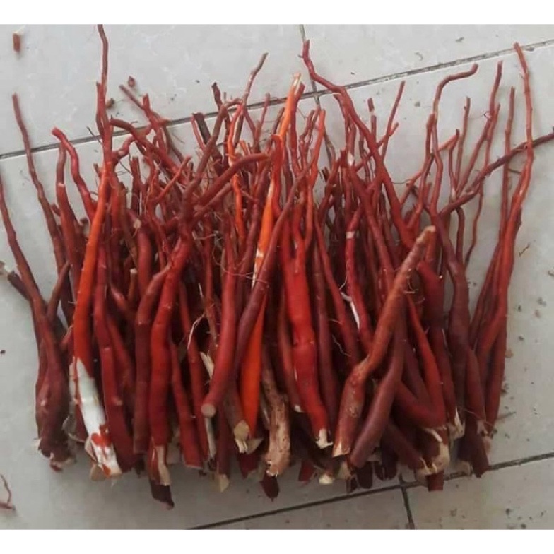 1Kg Sâm cau khô Hoà Bình -dltd [FREESHIP]