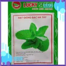 HẠT GIỐNG BẠC HÀ TÂY GÓI 0,1G