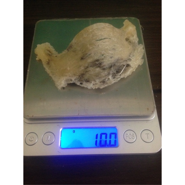 [FREESHIP 99K TOÀN QUỐC] 10gram Yến thô