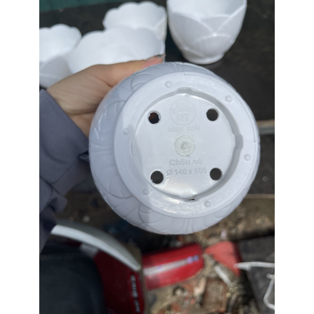 Chậu Nhựa Sò trắng trồng hoa để bàn KT 17 x 13 x 13cm