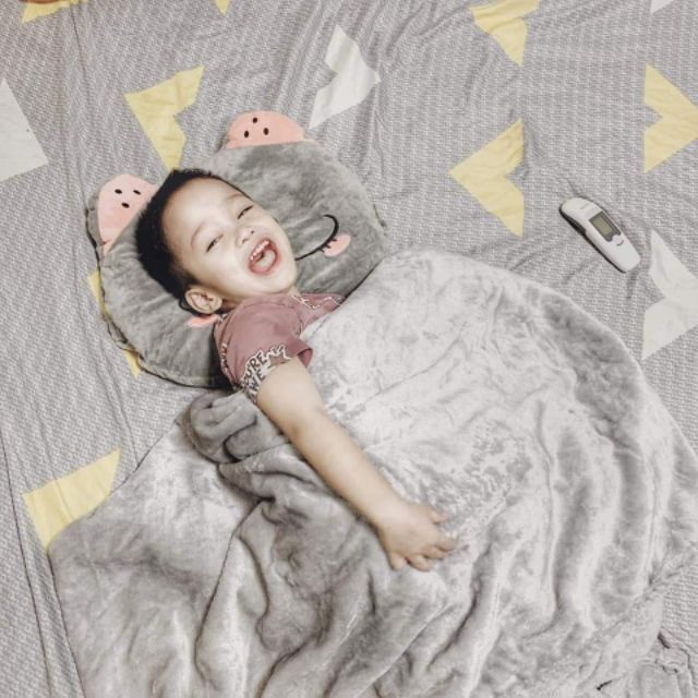 Bộ chăn gối 2in1 thú bông dể thương