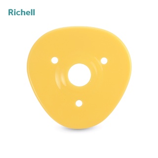 Bàn chải bước 3 Richell (12 tháng)