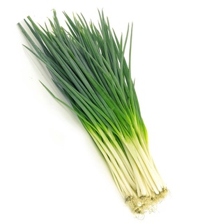 Hành lá 100gr - tân phú