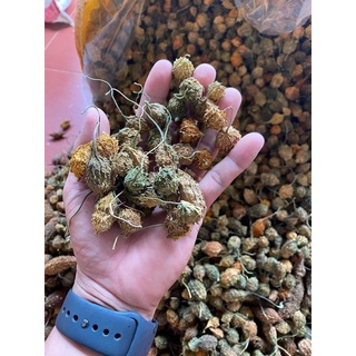Khổ qua rừng sấy khô gói 1kg