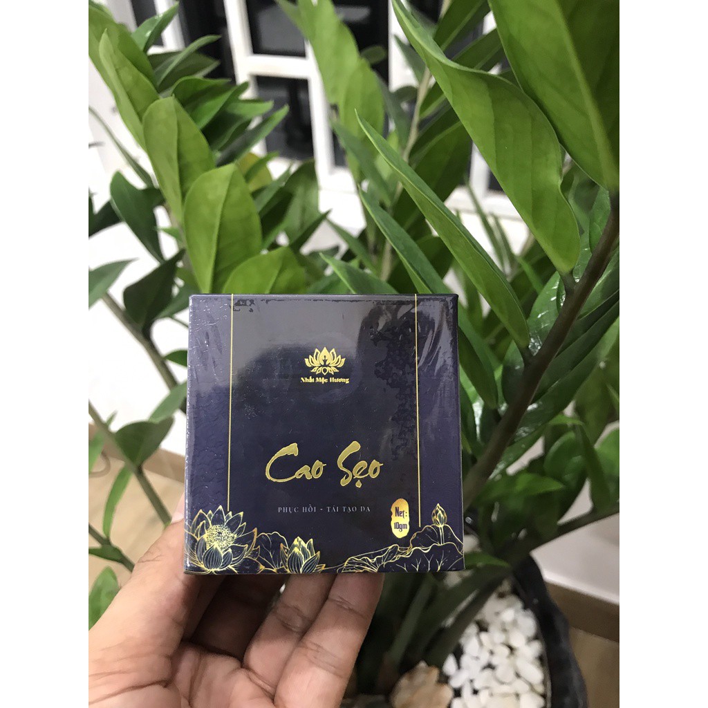 Cao Sẹo Bách Y Sâm Date 07/2023 Phục Hồi Tái Tạo Da Tức Thì - Tuýp 10gr