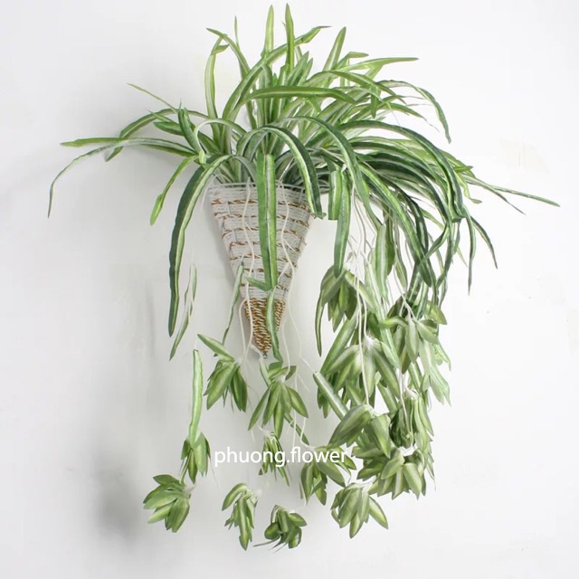 Chùm Cây cỏ Lan Chi giả cỏ nhện rủ loại dài 60cm 5 nhánh lá 3 dây hoa trang trí giỏ treo tường cỏ decor ban công rất đẹp