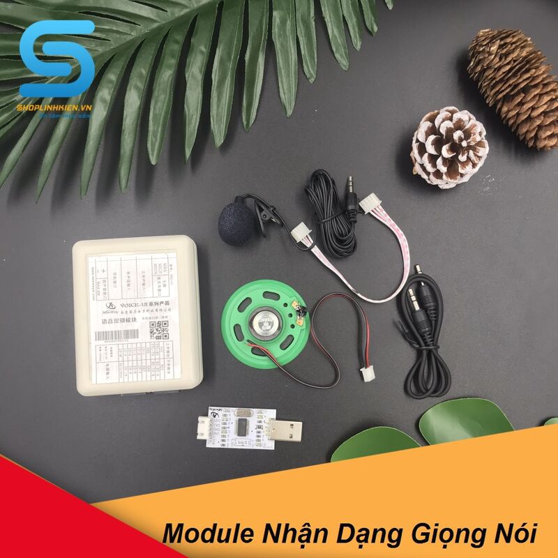 Module Nhận Dạng Giọng Nói REC-V2