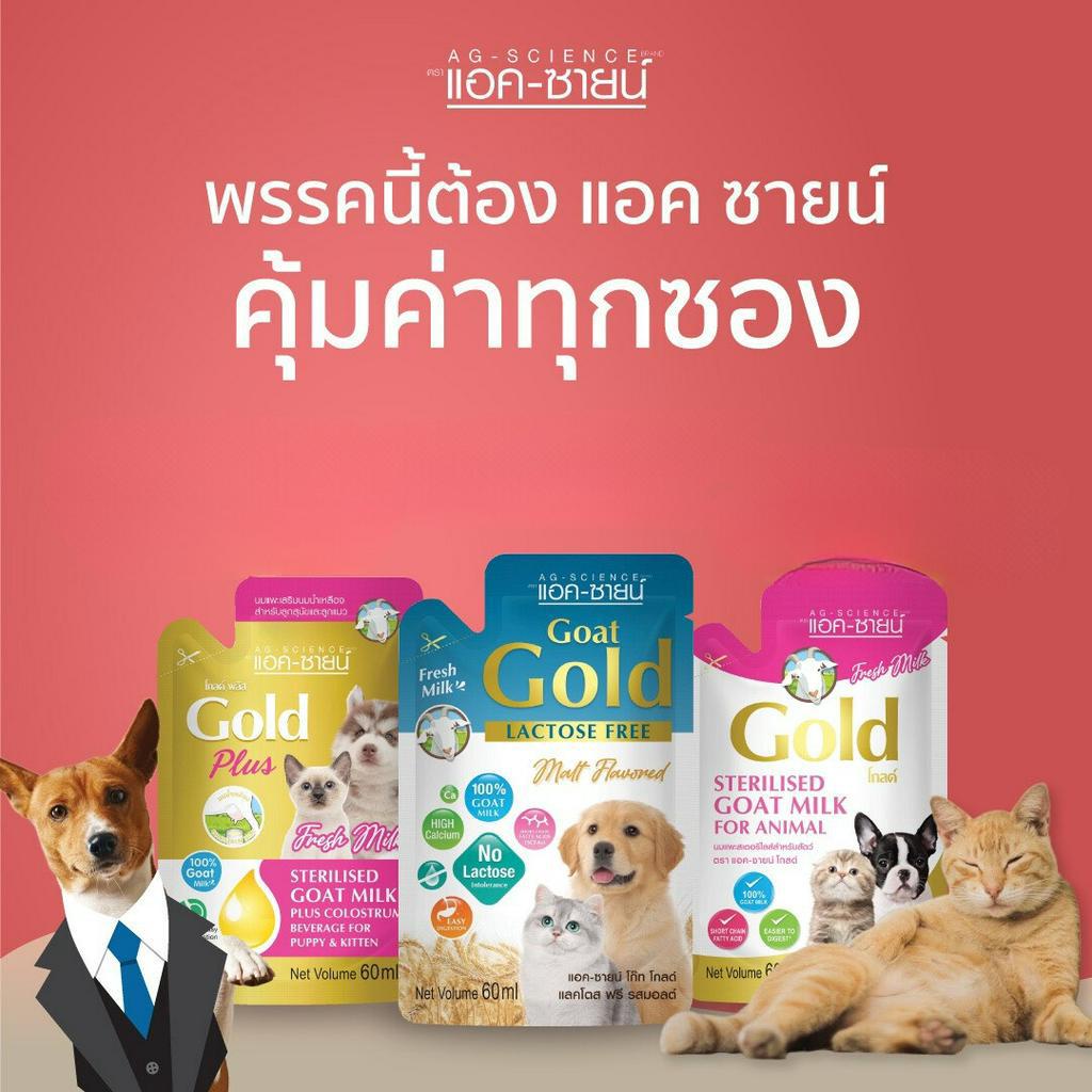 Sữa Gold AG Cao Cấp Pha Sẵn 60ml  FREE SHIP  Sữa Cho Chó Mèo Thỏ Bọ Hamster Nâng Cấp