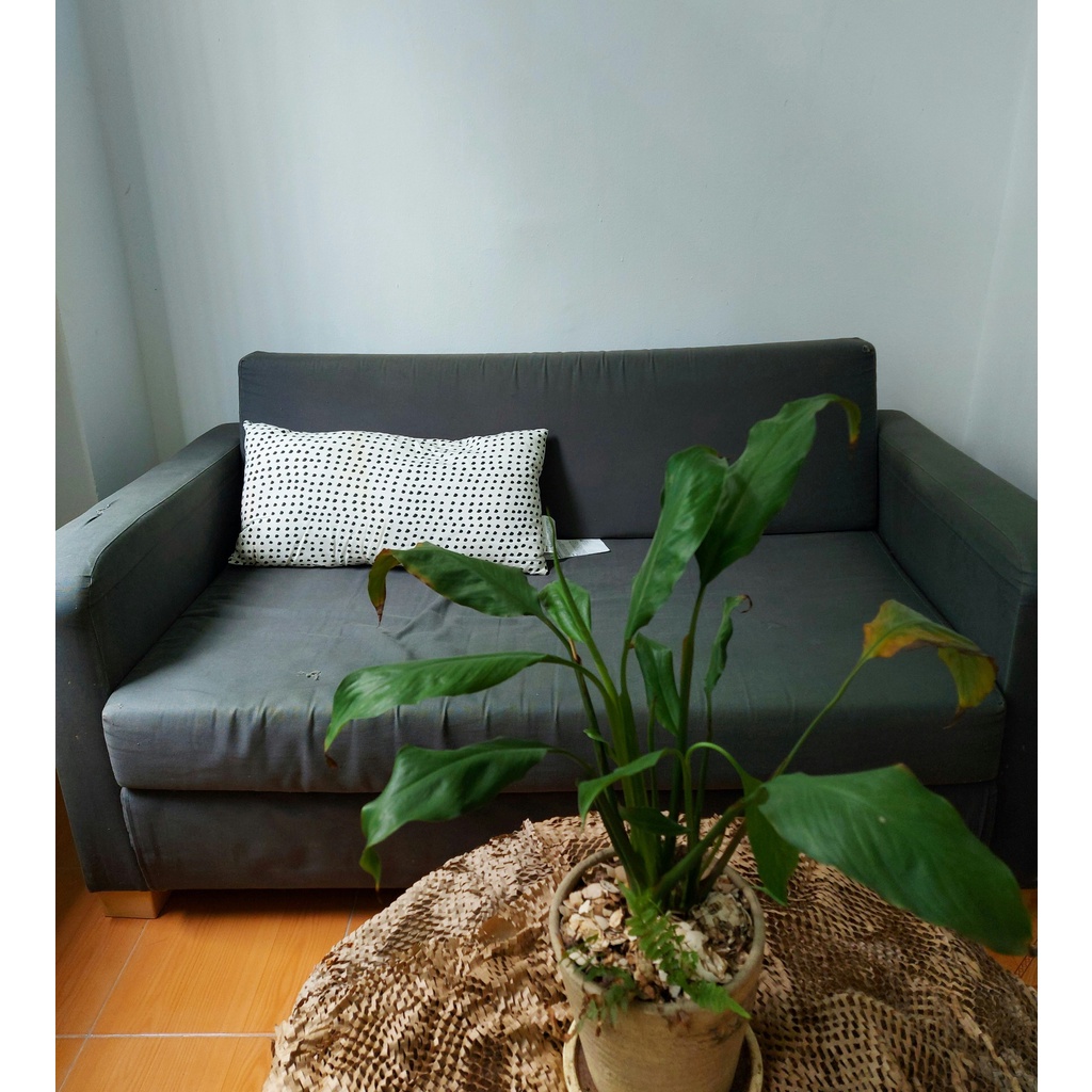 GỐI FJÄLLTIMOTEJ IKEA - TRẮNG / ĐEN 30x58 cm