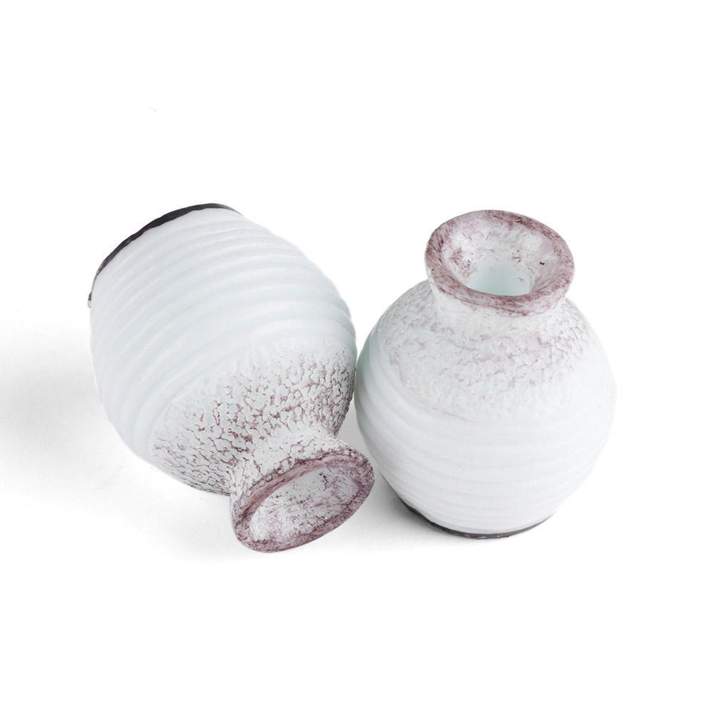 Set 5 Bình Hoa Mini Dùng Để Trang Trí Nhà Cửa / Sân Vườn DIY