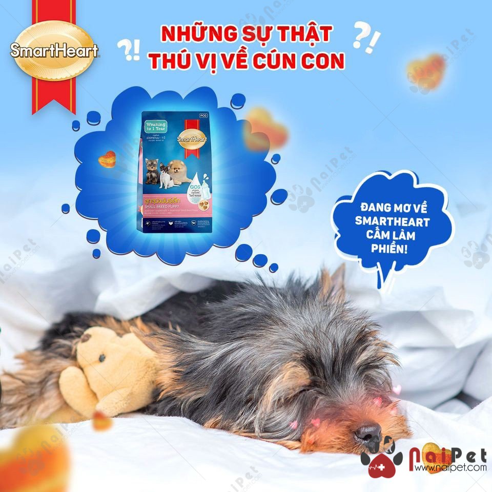Thức ăn hạt cho Cho con giống nhỏ Smartheart Small Breed Puppy Gói 1.3kg Xuất xứ Thái Lan Bổ sung dinh dưỡng hoàn chỉnh