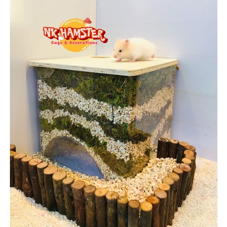 Thang lượn gỗ nguyên