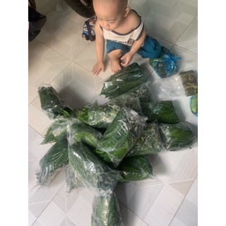 LÁ TRẦU KHÔNG HÀNG TƯƠi ( 500gram-1kg)