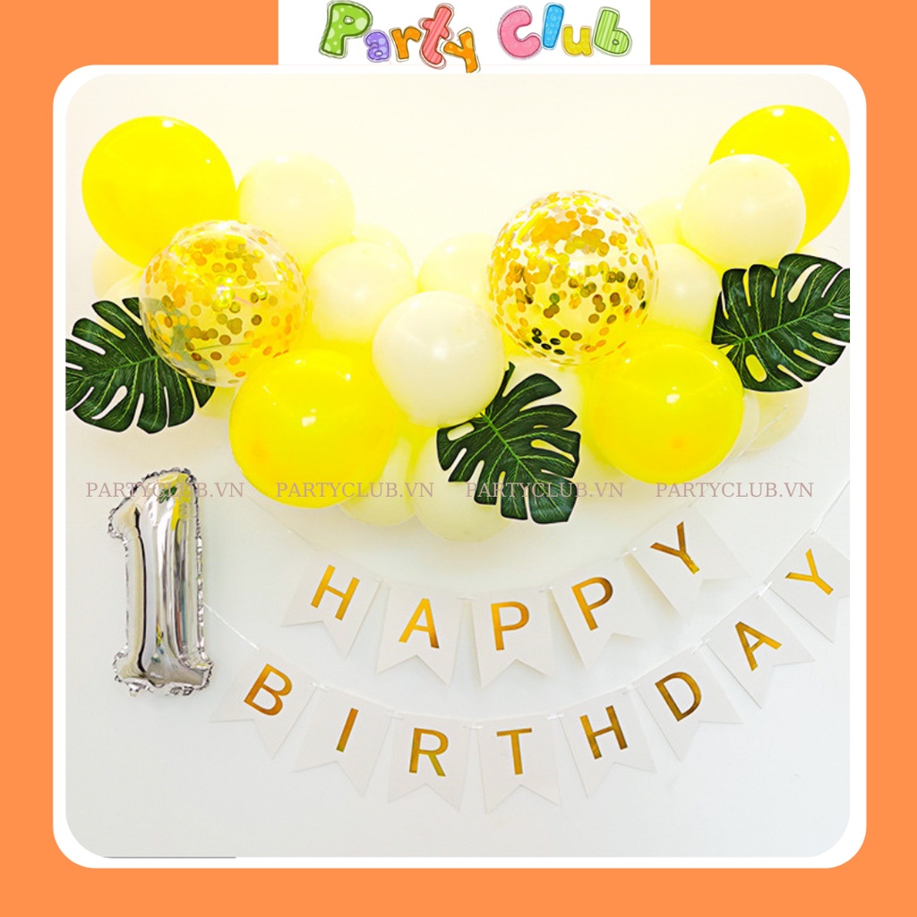 Set bóng trang trí sinh nhật cho bé tại nhà mẫu DG-001