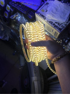 LED dây 4014 + zắc 10m