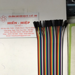 Cáp bẹ 40 chân 2 đầu cái