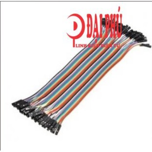 Dây Bẹ cái - cái, 20cm, 40 sợi/bẹ