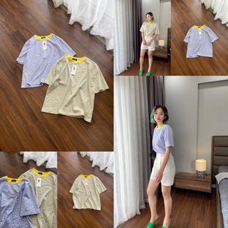 Áo thun hoa nhí cotton 100%. Hình thật shop chụp cận vải