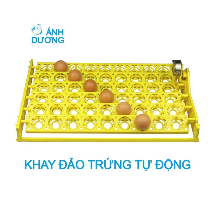 Máy Ấp Trứng Gà Mini Ánh Dương  P100, Khay Đảo Trứng Tự Động 54 Quả, Ấp Trứng Gà, Trứng Vịt, Trứng Ngan, Chim Bồ Câu