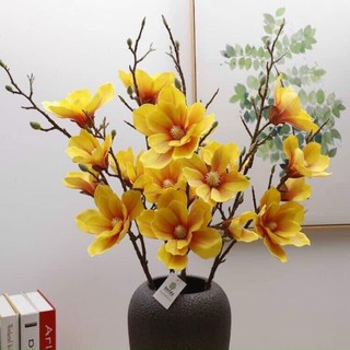 Mộc Lan Cao Su (5 Bông To HÀNG CAO CẤP Loại 1)