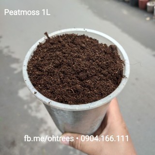 Peatmoss - Mùn rêu mục nhập khẩu 01 lít