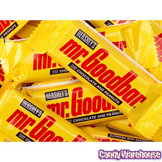 [DATE 04/2022] SOCOLA HERSHEY MR.GOODBAR (12 Snack)